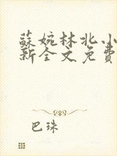 苏婉林北小说最新全文免费阅读无弹窗