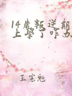 14岁叛逆期不上学了咋办呀