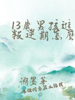 13岁男孩进入叛逆期怎么办