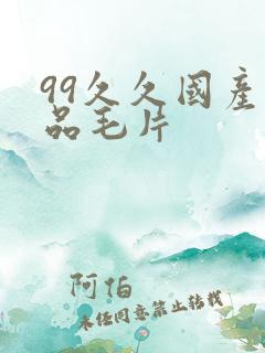 99久久国产精品毛片