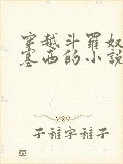 穿越斗罗奴役波塞西的小说