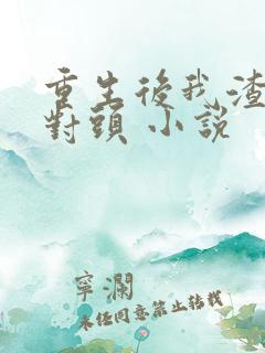 重生后我渣了死对头 小说