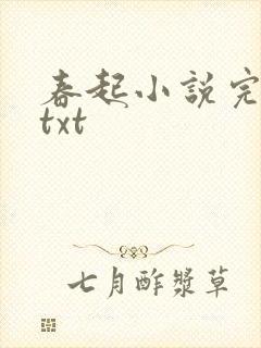 春起小说完整版txt