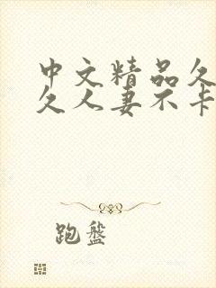 中文精品久久久久人妻不卡下