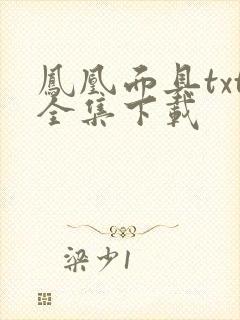 凤凰面具txt全集下载