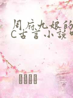 周府九娘的NPC古言小说叫什么