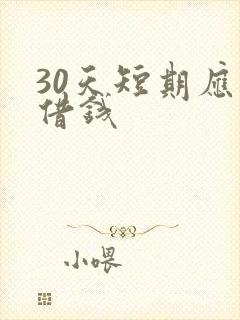 30天短期应急借钱