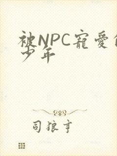 被NPC宠爱的少年