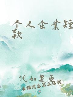 个人企业短期贷款