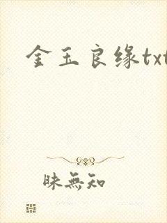 金玉良缘txt