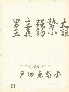 男主强势大男子主义的小说