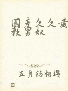 国产久久黄色调教男奴