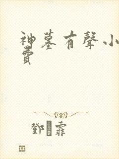 神墓有声小说免费