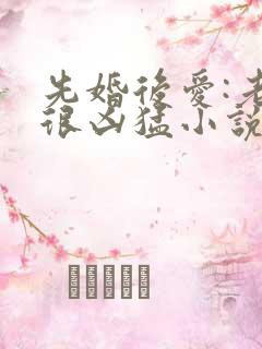 先婚后爱:老公很凶猛小说在线看