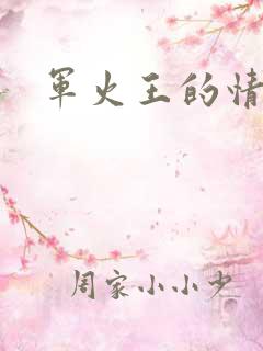 军火王的情人