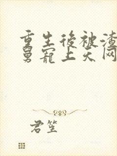 重生后被渣男舅舅宠上天网剧