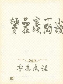 极品家丁小说免费在线阅读