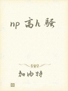 np 高h 骚