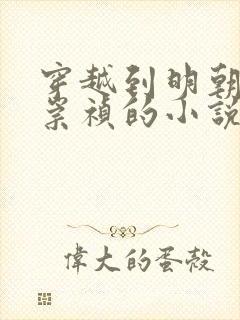 穿越到明朝成为崇祯的小说