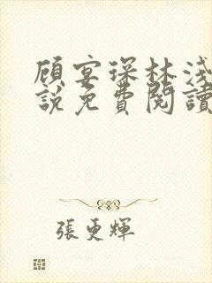 顾宴琛林浅月小说免费阅读最新章节