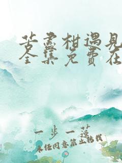 苦尽柑遇见你来全集免费在线观看