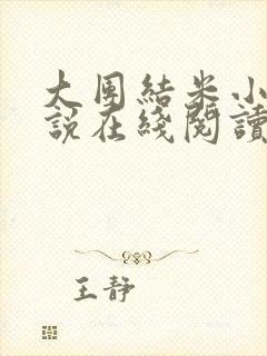 大团结米小小小说在线阅读