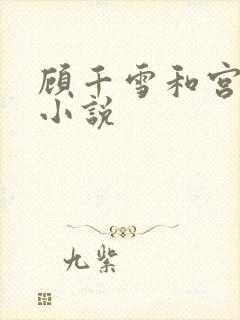 顾千雪和宫凌沨小说