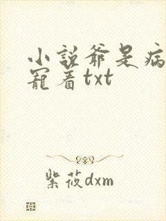 小说爷是病娇得宠着txt
