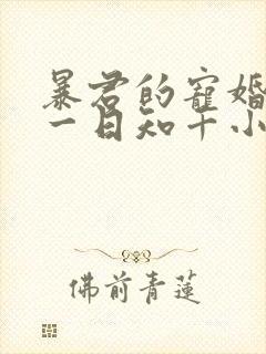 暴君的宠婚日常一日知千小说免费