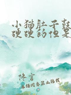 小猫肚子鼓鼓的硬硬的但是很活泼