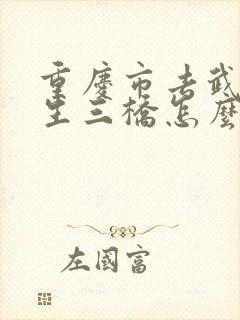 重庆市去武隆天生三桥怎么走