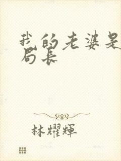 我的老婆是警察局长