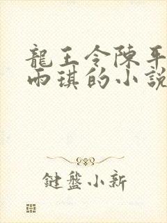 龙王令陈平,苏雨琪的小说