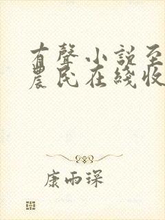 有声小说至尊小农民在线收听