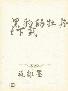 黑豹的牡丹txt下载