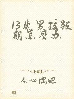 13岁男孩叛逆期怎么办