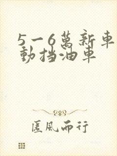 5一6万新车自动挡油车