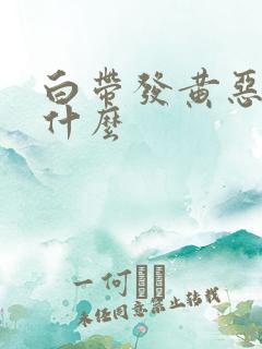 白带发黄恶臭用什么