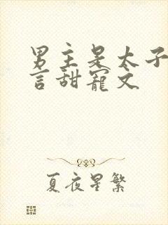 男主是太子的古言甜宠文