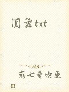 圆舞txt
