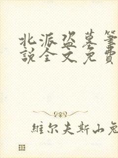 北派盗墓笔记小说全文免费阅读免费