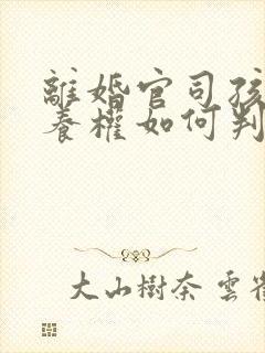 离婚官司孩子抚养权如何判定