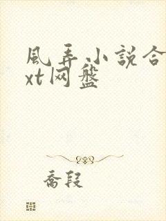 风弄小说合集txt网盘