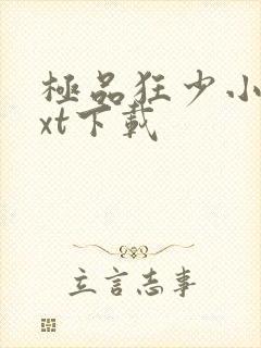 极品狂少小说txt下载