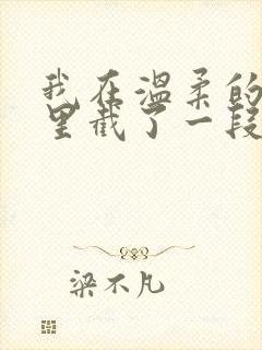 我在温柔的谎言里截了一段