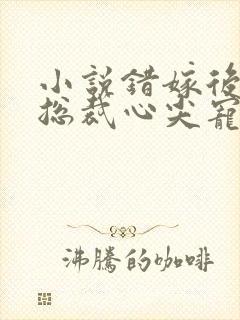 小说错嫁后成了总裁心尖宠