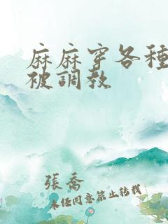 麻麻穿各种丝袜被调教