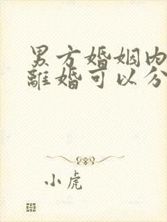 男方婚姻内出轨离婚可以分割财产吗