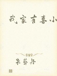 我家有喜小说