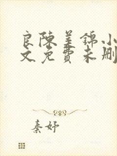 良陈美锦小说全文免费未删减